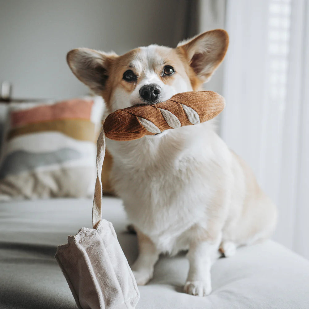 Jeu d'occupation pour chien - Mini Baguette - Lambwolf Collective