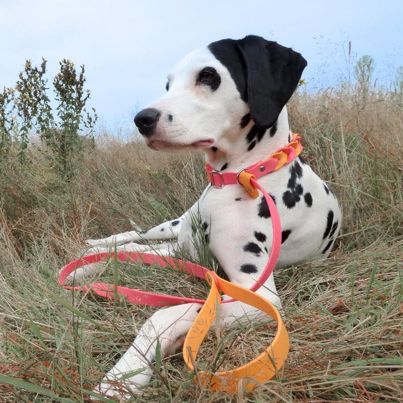 "Entdecken Sie unsere strapazierfähige Retrieverleine aus Biothane, ideal für Hunde und ihre Besitzer. Wasserabweisend, leicht zu reinigen und in verschiedenen Längen und Breiten erhältlich!"