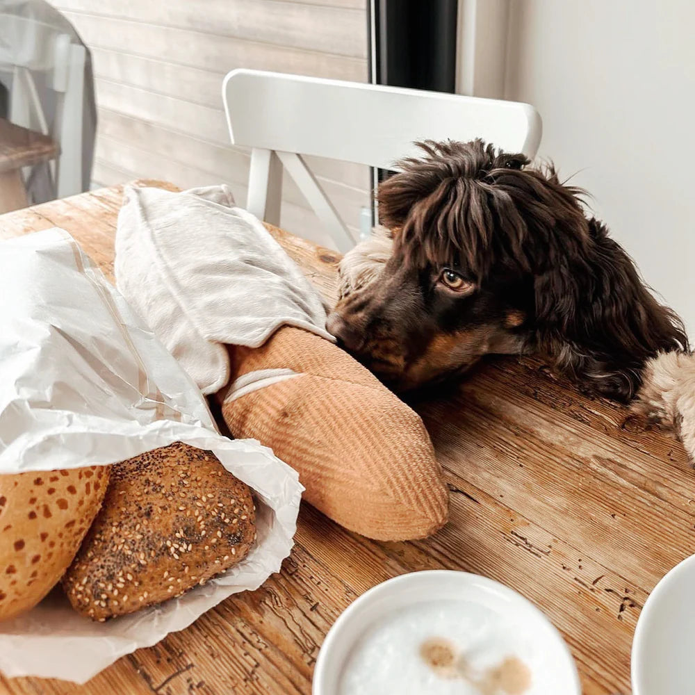 Entdecken Sie das Schnüffelspielzeug Baguette von Lambwolf Collective – ideal für geistige Auslastung und Spielspaß für Ihren Hund! Perfekt zum Suchen und Schnüffeln.