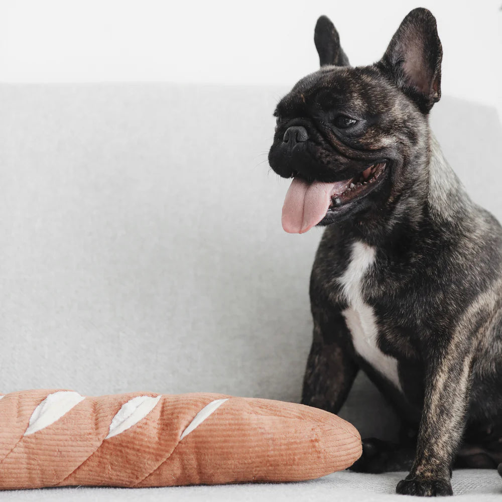 Entdecken Sie das Schnüffelspielzeug Baguette von Lambwolf Collective – ideal für geistige Auslastung und Spielspaß für Ihren Hund! Perfekt zum Suchen und Schnüffeln.
