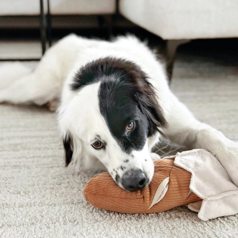 Entdecken Sie das Schnüffelspielzeug Baguette von Lambwolf Collective – ideal für geistige Auslastung und Spielspaß für Ihren Hund! Perfekt zum Suchen und Schnüffeln.