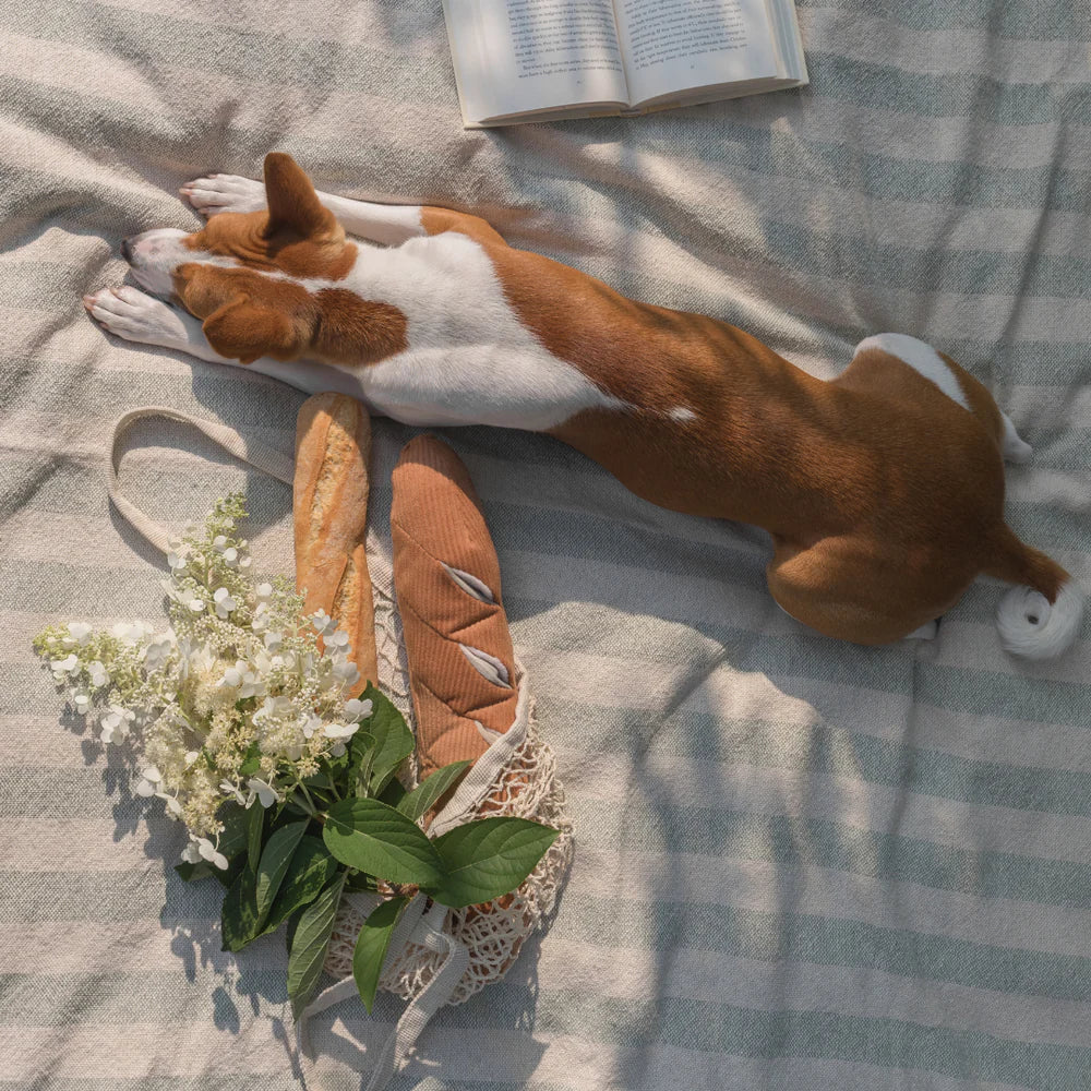 Entdecken Sie das Schnüffelspielzeug Baguette von Lambwolf Collective – ideal für geistige Auslastung und Spielspaß für Ihren Hund! Perfekt zum Suchen und Schnüffeln.