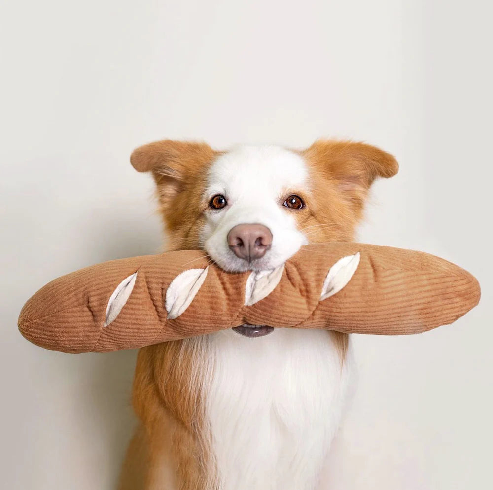 Entdecken Sie das Schnüffelspielzeug Baguette von Lambwolf Collective – ideal für geistige Auslastung und Spielspaß für Ihren Hund! Perfekt zum Suchen und Schnüffeln.