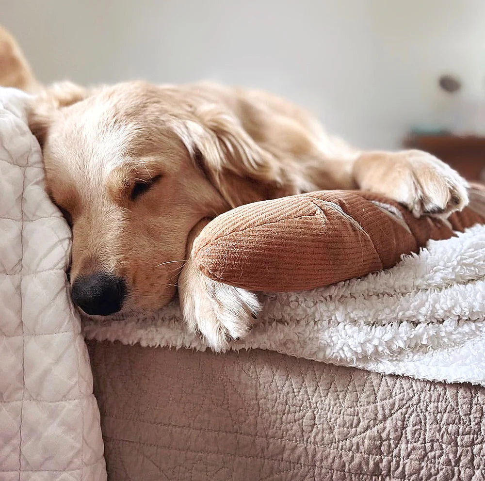 Entdecken Sie das Schnüffelspielzeug Baguette von Lambwolf Collective – ideal für geistige Auslastung und Spielspaß für Ihren Hund! Perfekt zum Suchen und Schnüffeln.