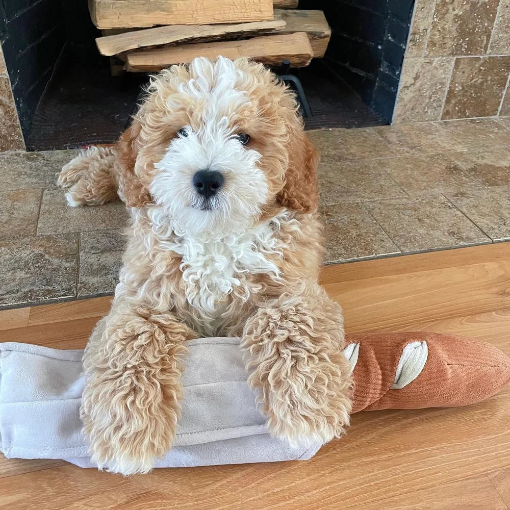Entdecken Sie das Schnüffelspielzeug Baguette von Lambwolf Collective – ideal für geistige Auslastung und Spielspaß für Ihren Hund! Perfekt zum Suchen und Schnüffeln.
