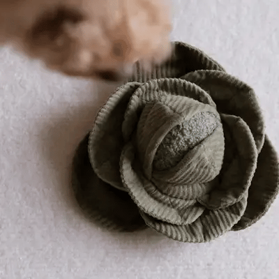 Der CABBAGE POP vereint Spaß von Bällen und Schnüffelspielzeug! Mit einem weichen, robusten Quietschball und knisternden Blättern für versteckte Leckerlis. Größe: 20 x 20 cm.