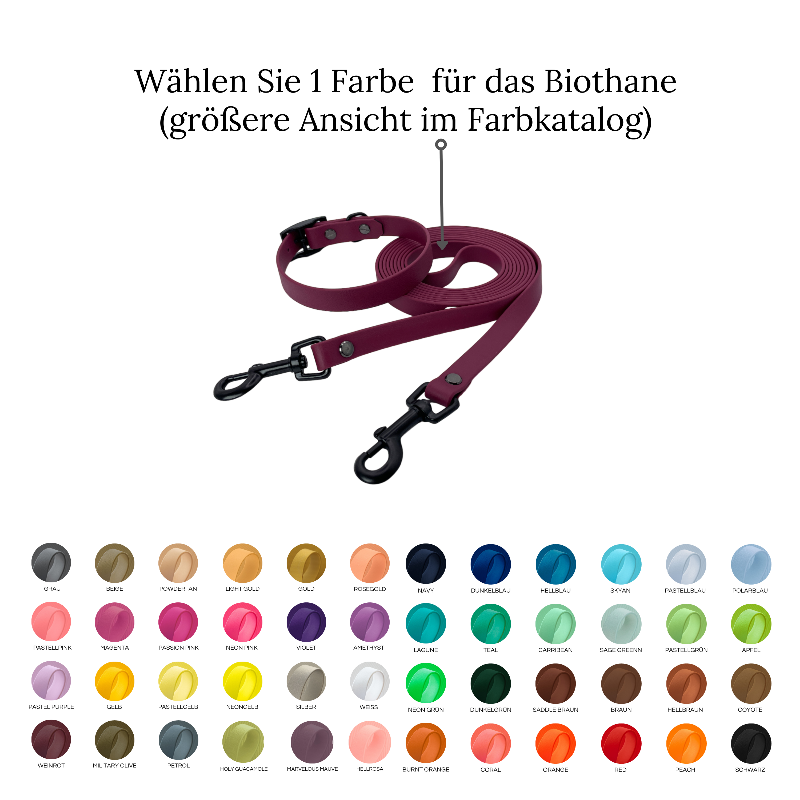 Biothane set in your desired color