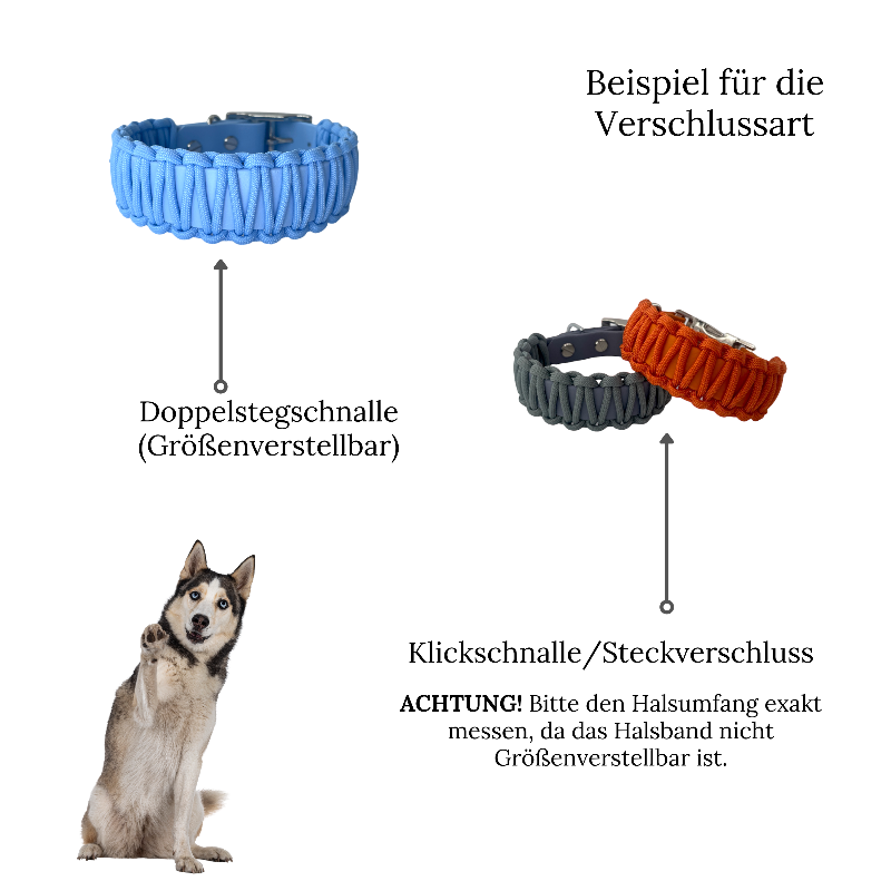 Robustes Biothane-Halsband „Fusion“ mit Paracord-Ummantelung. Individuell gestaltbar in bis zu 2 Farben, in 5 Breiten und verschiedenen Verschlüssen erhältlich. Ideal für aktive Hunde!