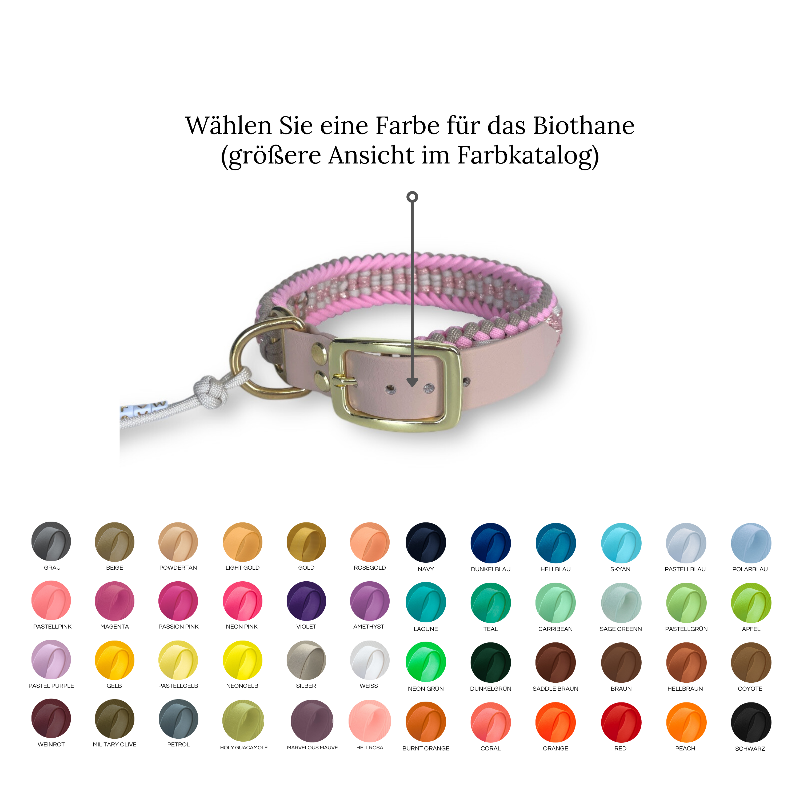 Individuell gestaltbares Halsband aus hochwertigem Paracord für Hunde. Wählen Sie Farben und Beschläge für ein einzigartiges, handgefertigtes Design.