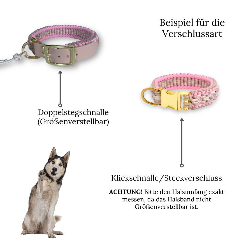 Individuell gestaltbares Halsband aus hochwertigem Paracord für Hunde. Wählen Sie Farben und Beschläge für ein einzigartiges, handgefertigtes Design.